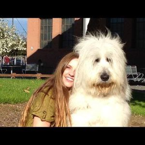 Meet your Posher, Izzy